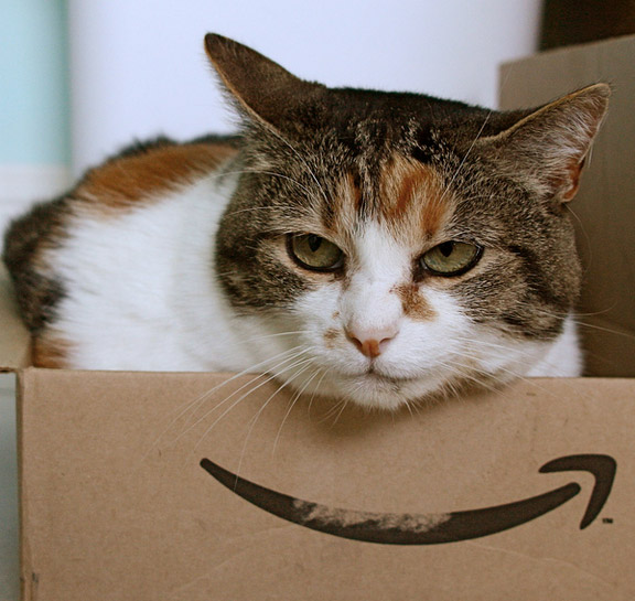 Study Shows The Obvious: Amazon Prime Members Spend More On Amazon