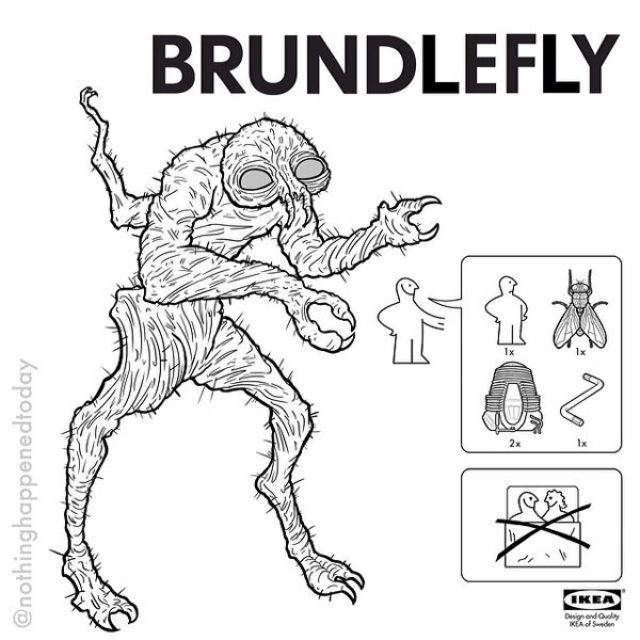 brundlefly