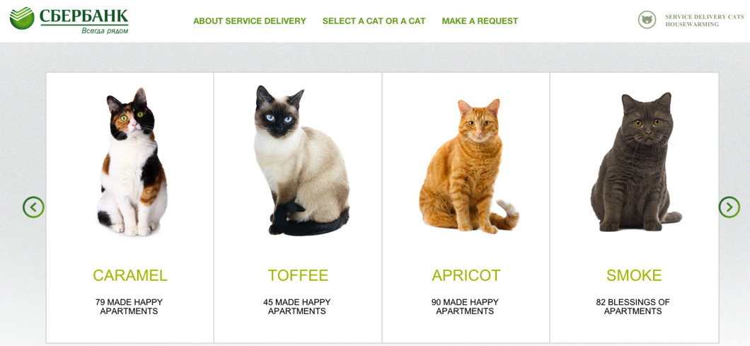 Just some of the cats available for a 2-hour visit to qualified borrowers' new homes. 