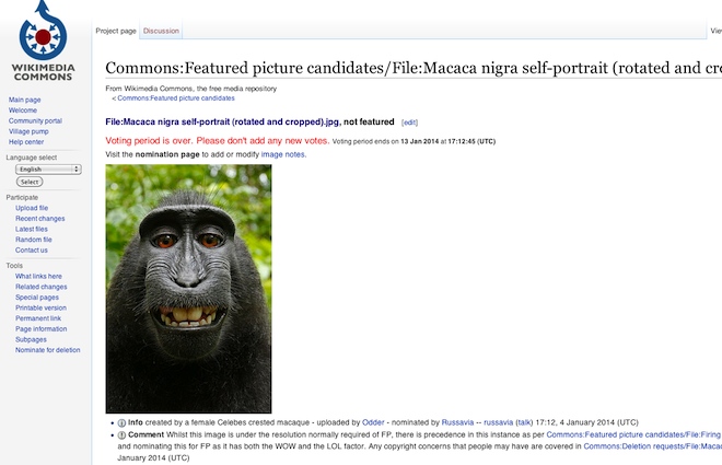 The image uploaded to Wikimedia Commons was taken by a macaque monkey who had briefly snatched away a professional photographer's camera. 