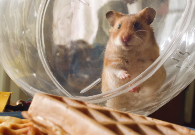 Sprint CEO On Failed “Framily” Plans: It’s Hard To Sell A Talking Hamster