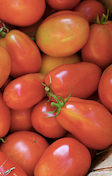 Mysterious Salmonella Outbreak Had Innocent Victims: Tomatoes