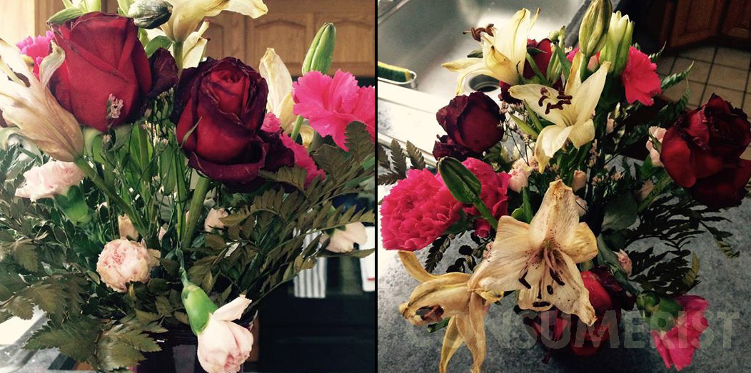 Valentine’s Day Aftermath: Floral Disaster And Floral Delight