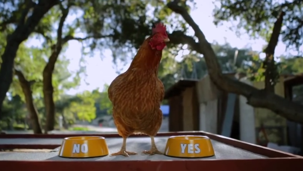 Burger King is letting a Gloria the chicken decide which locations can serve Chicken Fries for the day. 