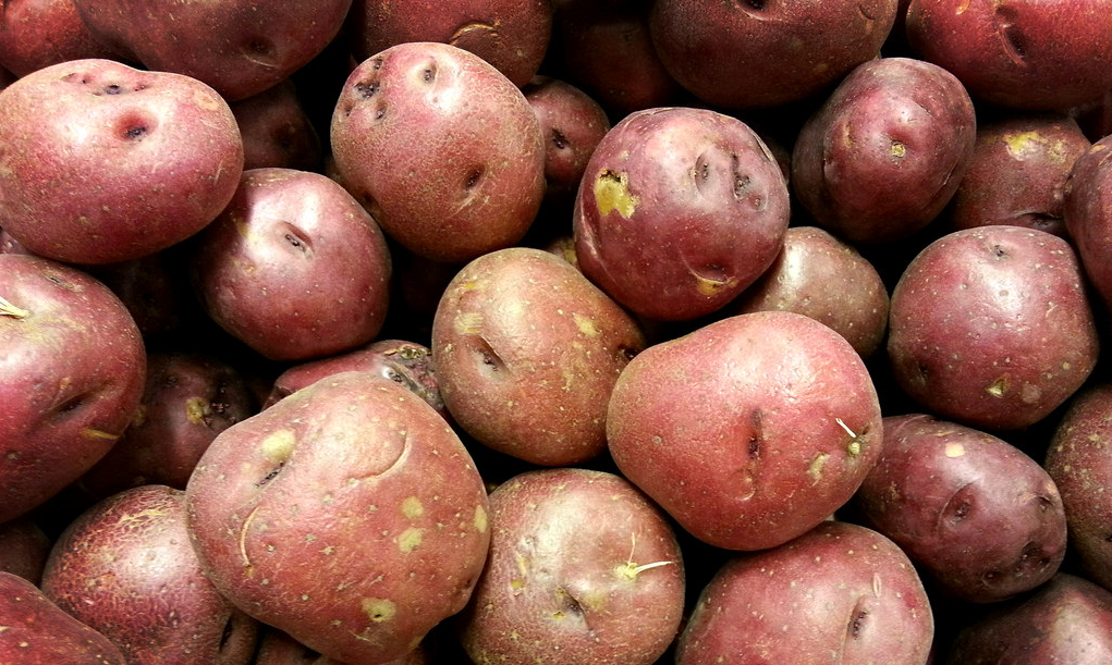 Pink Potato Slime May One Day Save Us All From Antibiotic-Resistant Bacteria