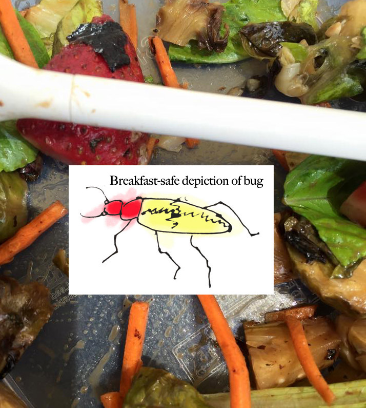 Oh, Good: Four More Reports Of Iron Cross Blister Beetles In Salads