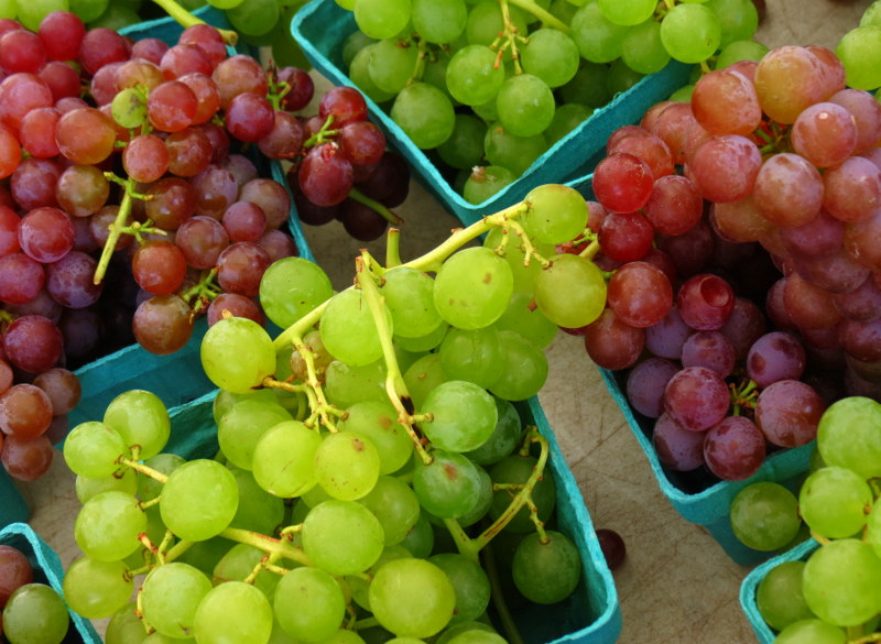 Customer Finds Black Widow Spider In Grapes Bought At Target – Consumerist