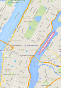 Roosevelt Island is highlighted in pink.