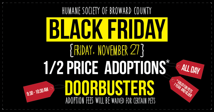 More Animal Shelters Holding Black (Fur) Friday Adoption Promotions