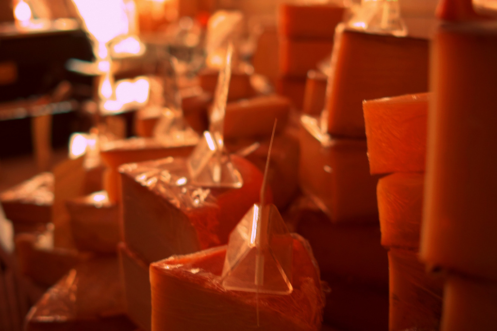 Every cheese is just waiting for its soulmate to find it. (Andersedin)