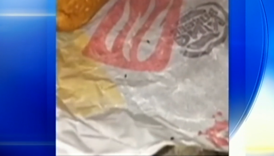 Man Claims Burger King Sandwich Was Covered In Ants