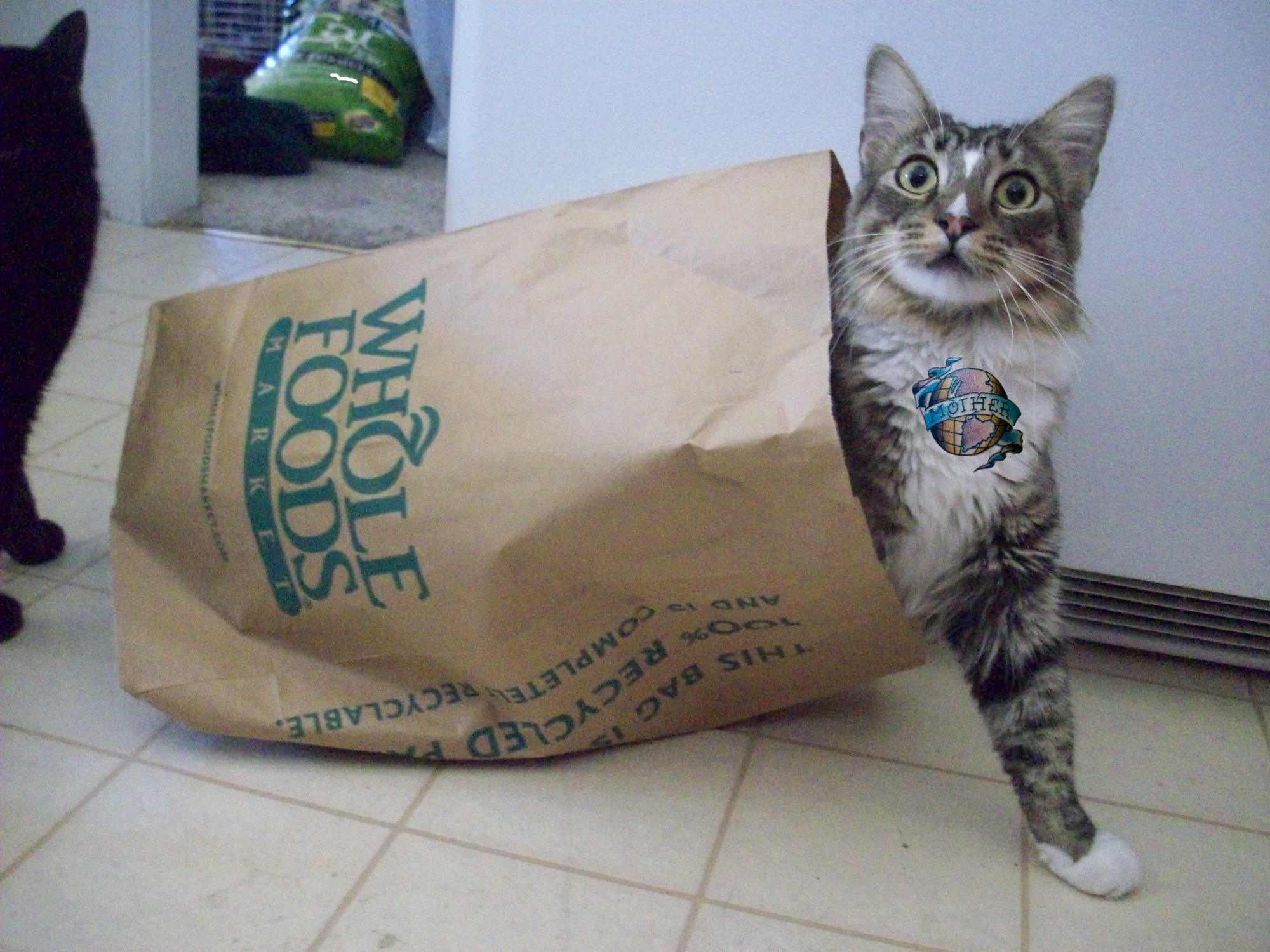 Yes really. Whole foods paper Bag.