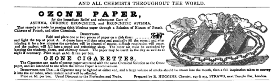 British Medical Journal, 1878