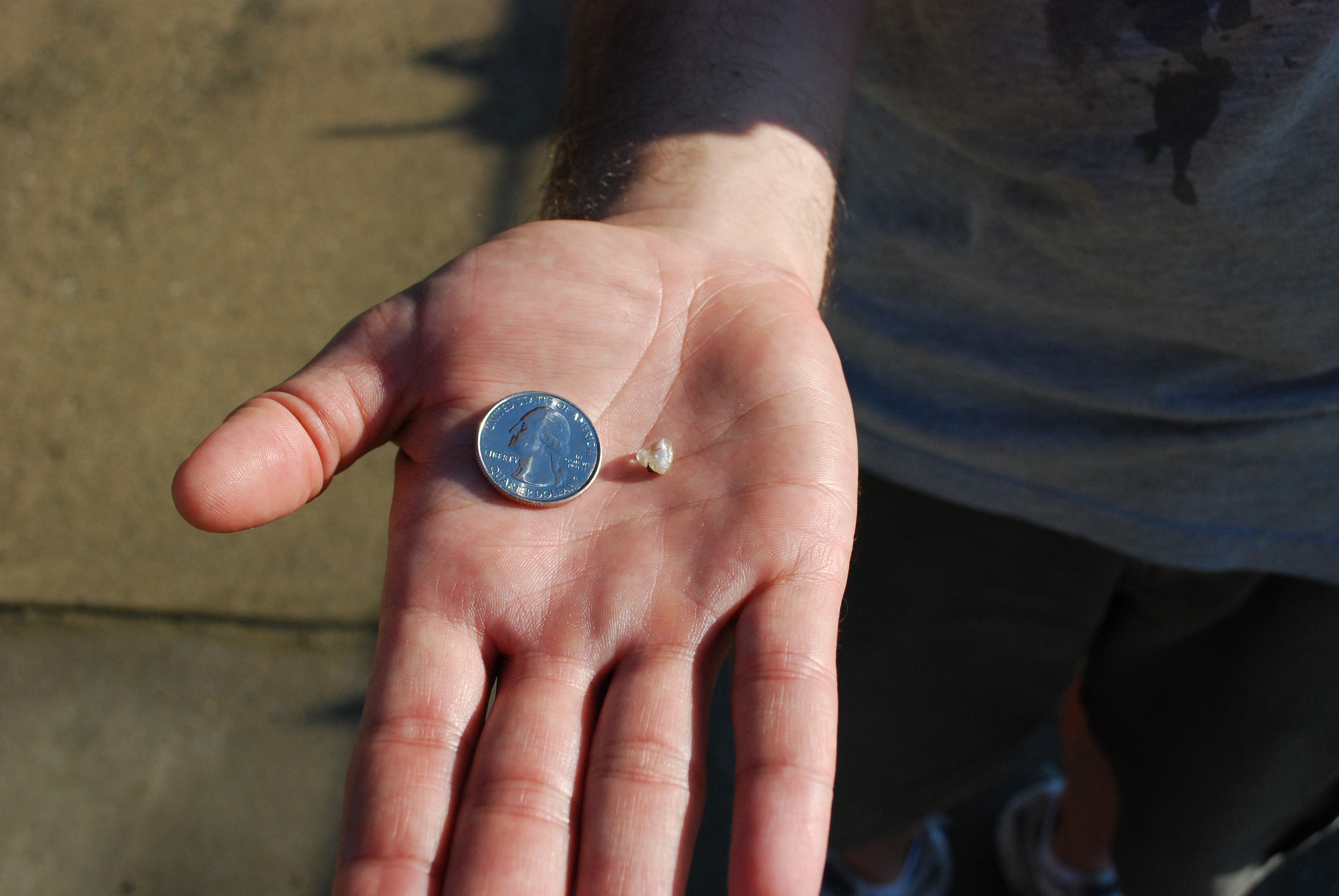 Crater of Diamonds State Park