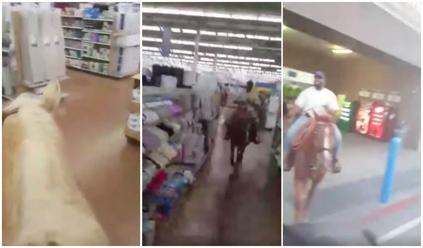 Pranksters Ride Through Walmart Aisles On Horseback