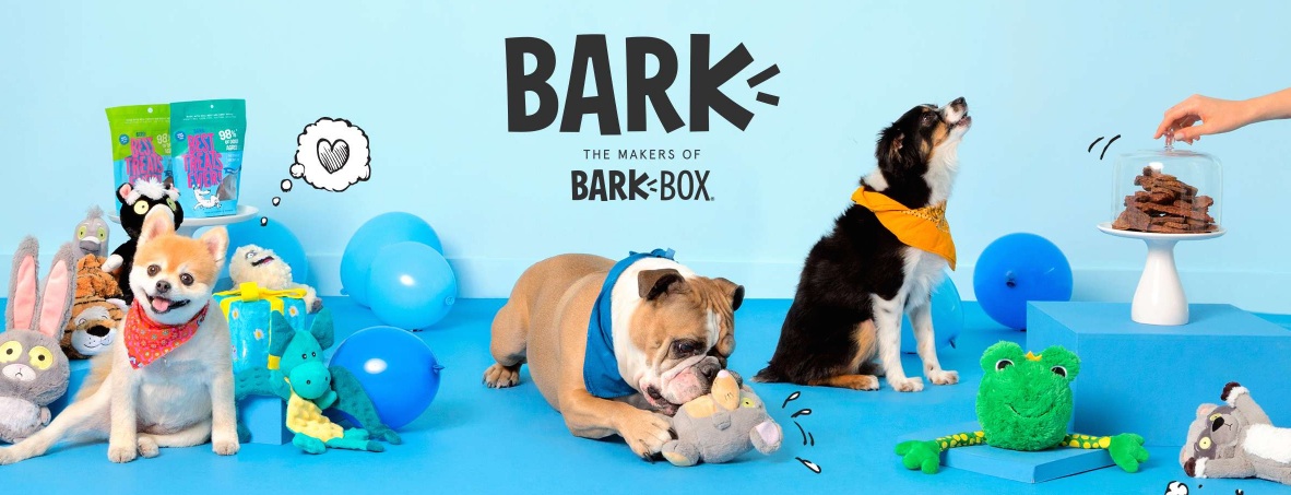 Target To Partner With Online Dog Supplies Retailer Bark, Carry Items In Stores